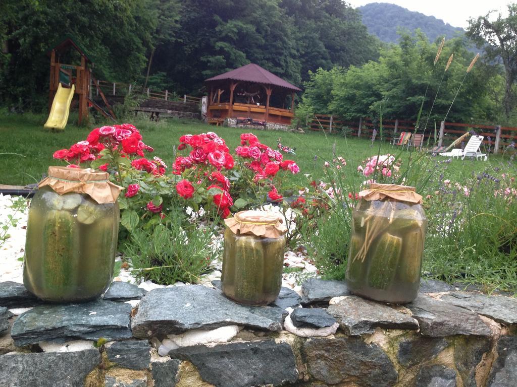 Gasthaus Maria Borlova エクステリア 写真