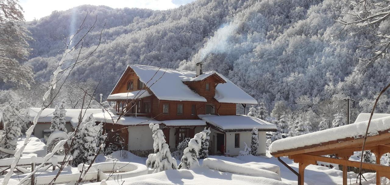 Gasthaus Maria Borlova エクステリア 写真