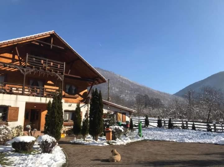 Gasthaus Maria Borlova エクステリア 写真