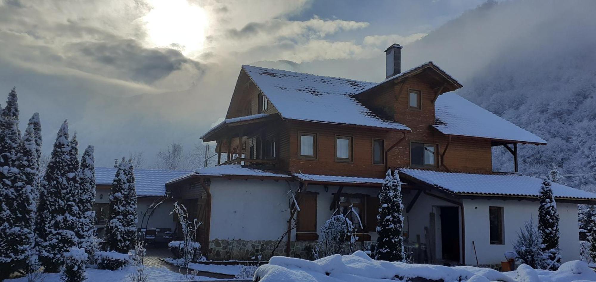 Gasthaus Maria Borlova エクステリア 写真