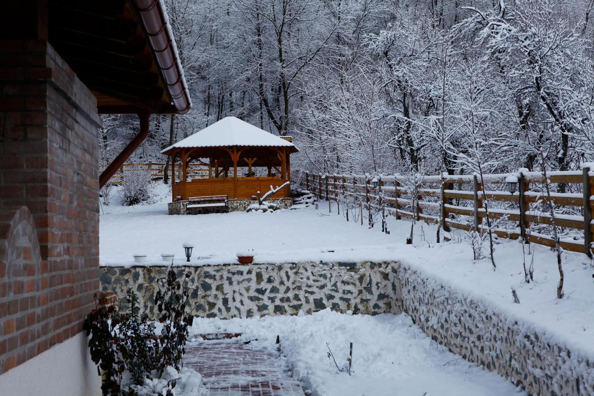 Gasthaus Maria Borlova エクステリア 写真