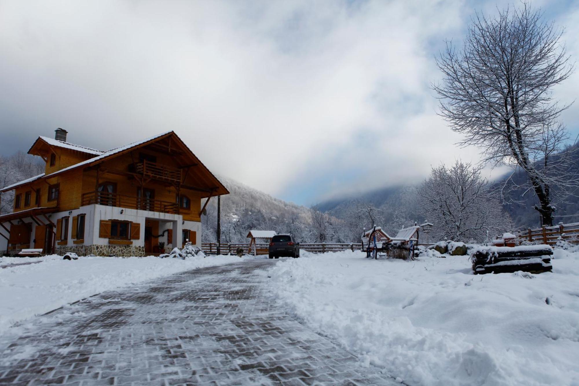 Gasthaus Maria Borlova エクステリア 写真