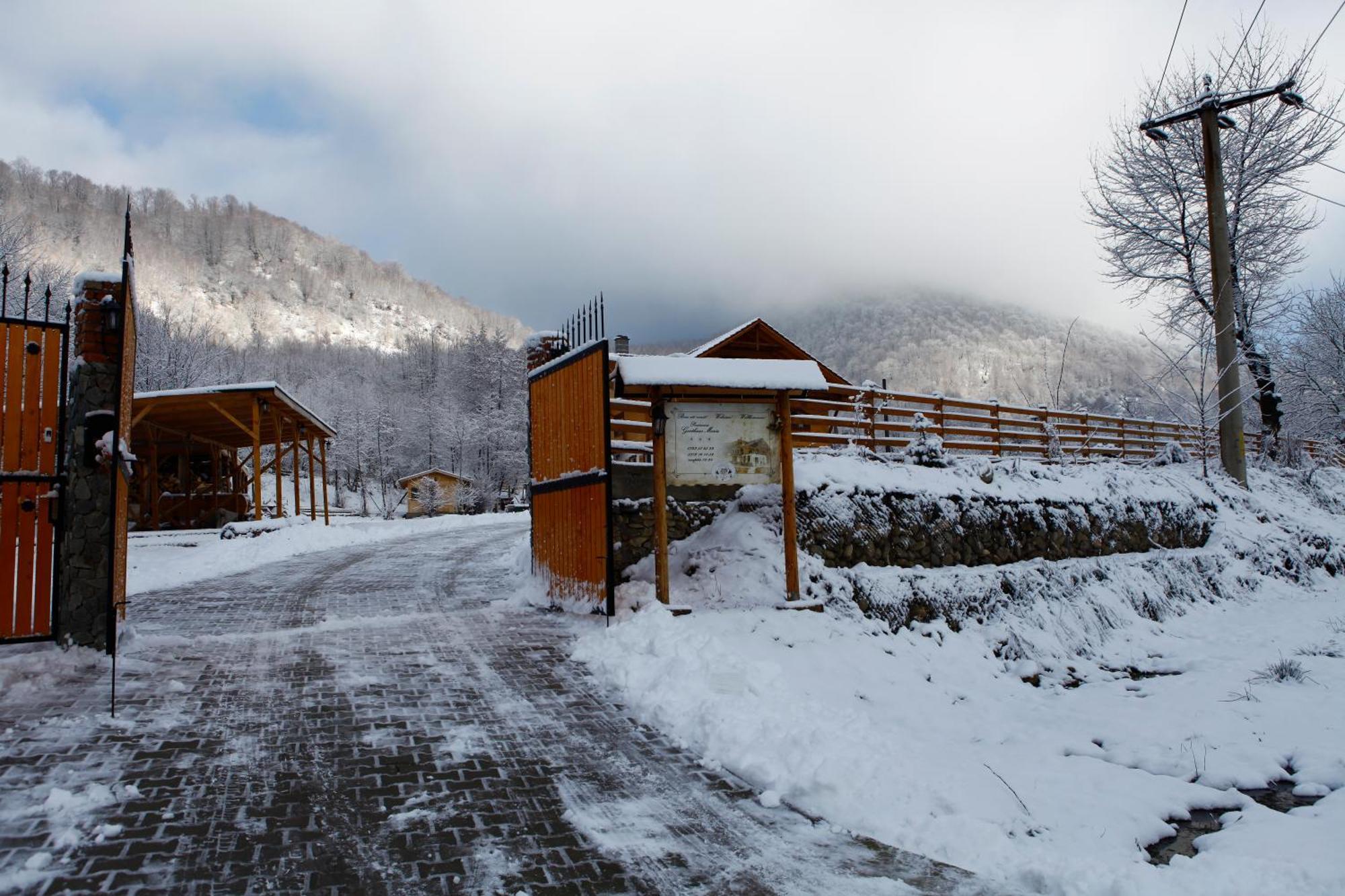 Gasthaus Maria Borlova エクステリア 写真
