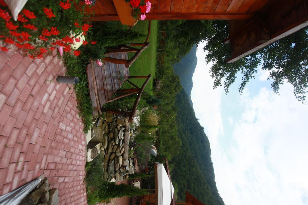 Gasthaus Maria Borlova エクステリア 写真