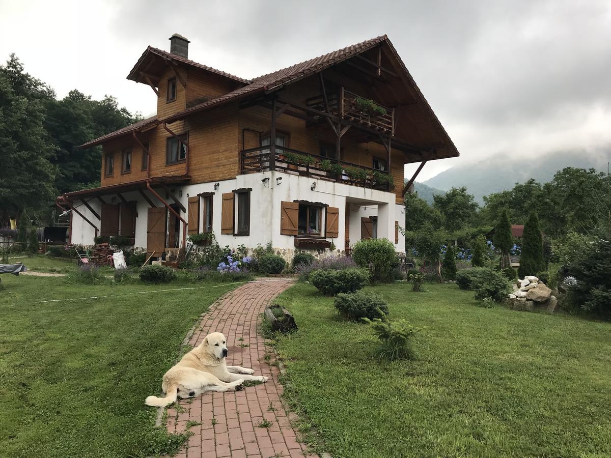 Gasthaus Maria Borlova エクステリア 写真